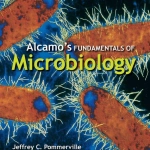 Alcamo's Fundamentals of Microbiology (9th Ed.) By Jeffrey C. Pommerville