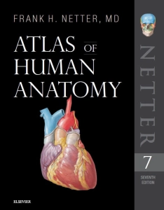 Free Download Atlas of Human Anatomy (7th Ed.) By Frank H. Netter