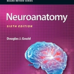 BRS Neuroanatomy (6th Ed.) By Douglas J. Gould