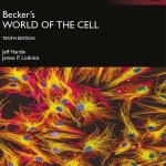 Becker's World of the Cell (10th Global Ed.) By Jeff Hardin and James P. Lodolce