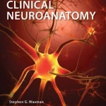 Clinical Neuroanatomy (29th Ed.) By Stephen G. Waxman