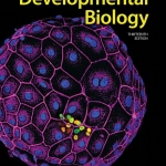 Developmental Biology (13th Ed.) By Michael Barresi and Scott Gilbert