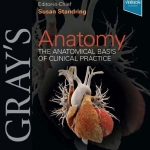 Gray's Anatomy The Anatomical Basis of Clinical Practice (42nd Ed.) By Susan Standring