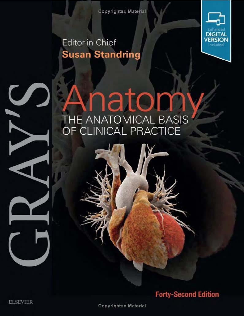 Gray's Anatomy The Anatomical Basis of Clinical Practice (42nd Ed.) By Susan Standring