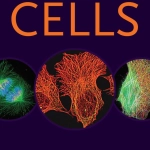 Lewin's Cells (3rd Ed.) By George Plopper, David Sharp and Eric Sikorski