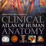 Abrahams’ and Mcminn’s Clinical Atlas of Human Anatomy (8th edition) authored by Peter H. Abrahams, Jonathan D. Spratt, Marios Loukas, and Albert-Neels van Schoor