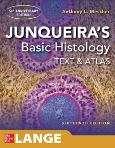 Junqueira's Basic Histology: Text and Atlas (16th Ed.) By Anthony L. Mescher