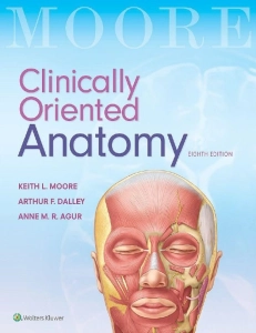 Moore's Clinically Oriented Anatomy (8th Ed.) By Keith Moore, Arthur Dalley, and Anne Agur