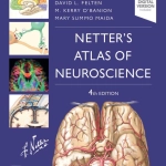 Netter's Atlas of Neuroscience (4th Ed.) By David Felten, Michael O'Banion, and Mary Summo Maida