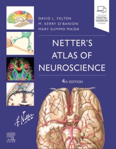 Netter's Atlas of Neuroscience (4th Ed.) By David Felten, Michael O'Banion, and Mary Summo Maida