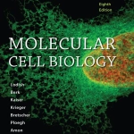 Molecular Cell Biology (8th Ed.) by Lodish, Berk, Kaiser, Krieger, Bretscher, Ploegh, Amon & Martin