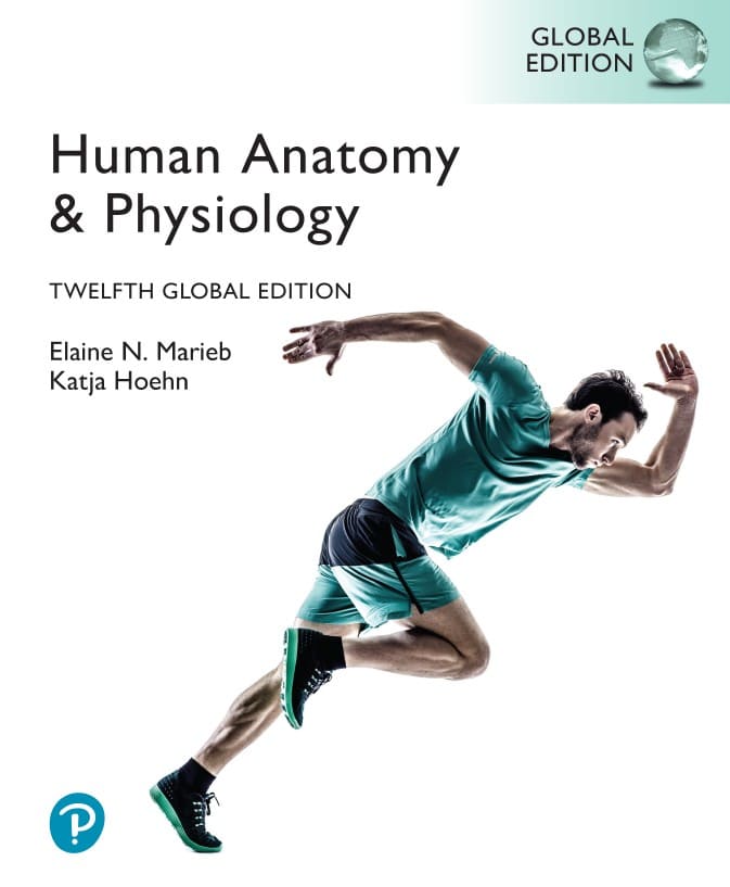 Human Anatomy & Physiology (12th Global Ed.) by Elaine N. Marieb & Katja Hoehn