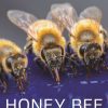 Honey Bee Biology by Brian R. Johnson Honey Bee Biology by Brian R. Johnson
